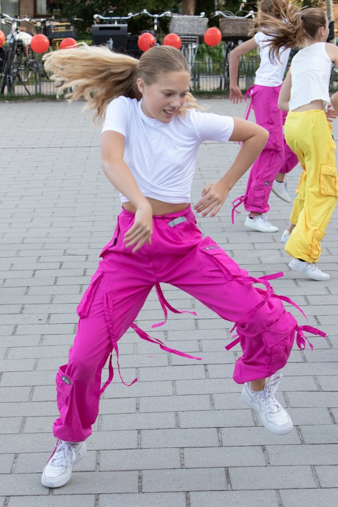 Schoolplein Festival A391.jpg